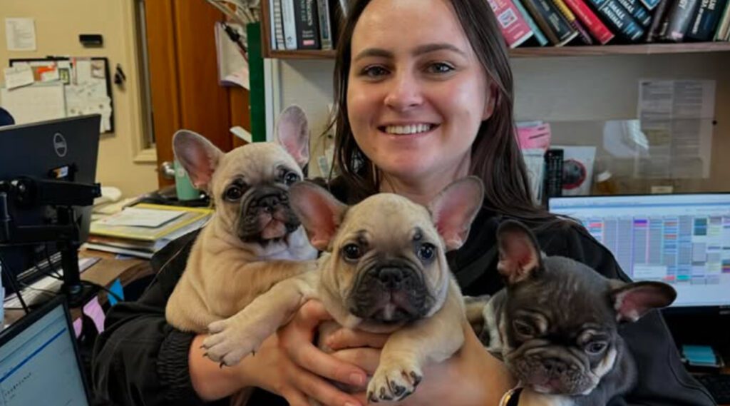 Dog Vet Reno Happy Puppies Checkup